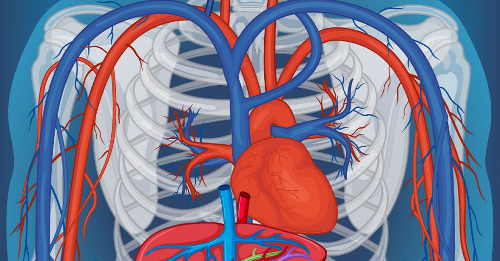 Saúde Vascular